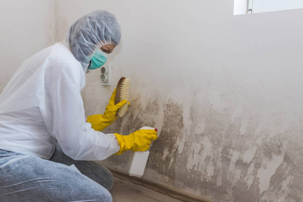 Best Mold Removal for HVAC Installations  in Oregon, OH